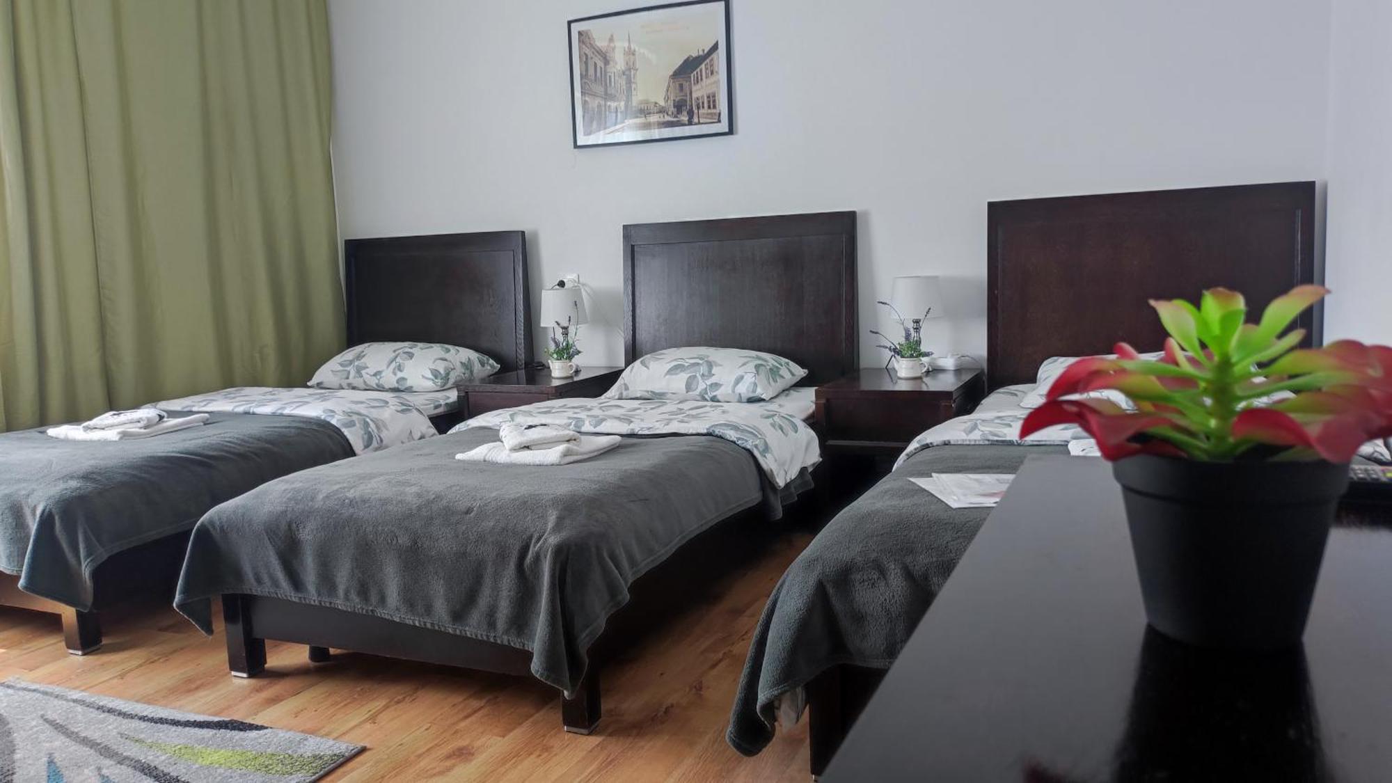 Casa De Oaspeti Wallendorf Bistrita Unirea Værelse billede